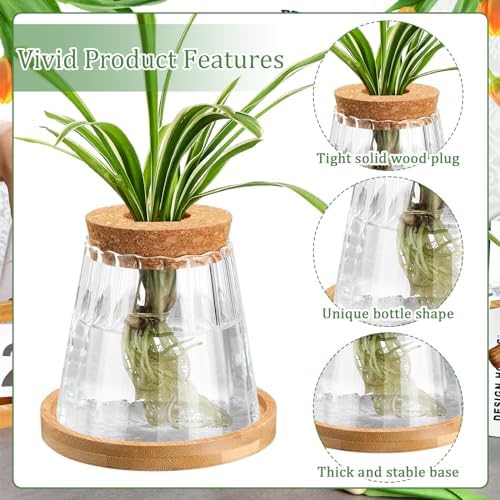 6 Pcs Glass Plant Propagation Station with Wood Lid & Stand, Cute Style - Image 5