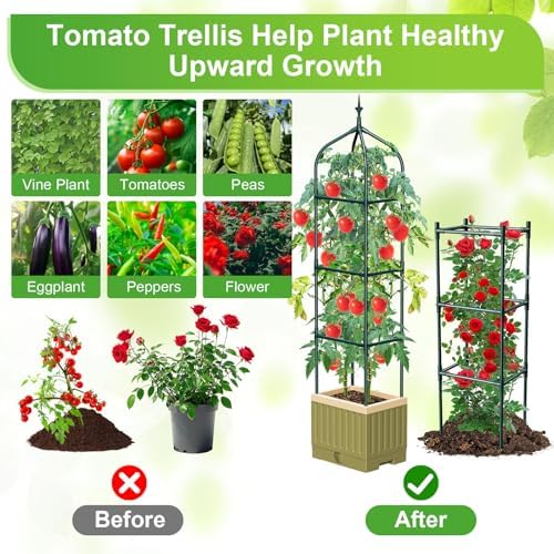 Raised Garden Bed Planter Box with Trellis, 71" Self-Watering Tomato Planter with Trellis for Climbing Vegetable and Plants, Tomato Cage Planters for Indoor Outdoor Patio Greenhouse Gardening (1Pack) - Image 5