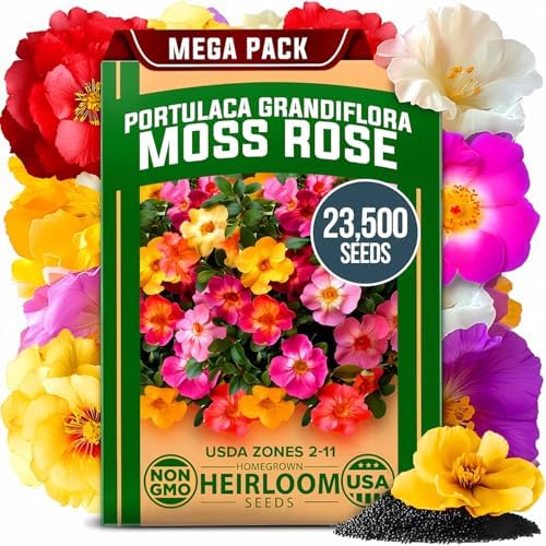 HOME GROWN Moss Rose Portulaca Seeds, 23,500+ Seeds, Portulaca grandiflora by HOMEGROWN