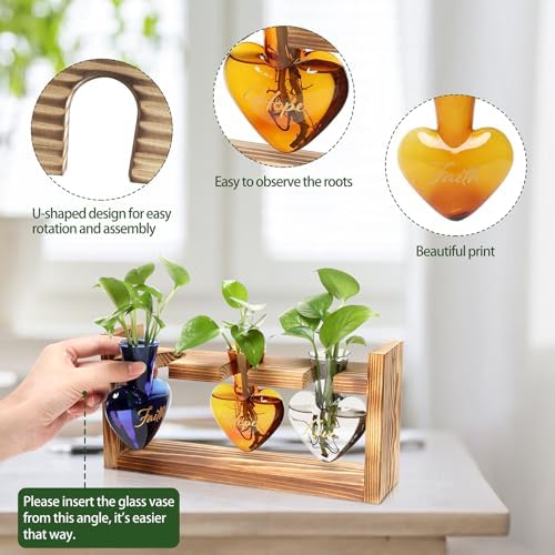 Plant Terrarium Propagation Stations Hydroponics - Image 2