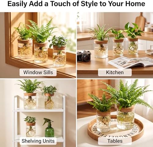6Pcs 3 Size Glass Plant Propagation Stations, Desktop Flower Vases - Image 4