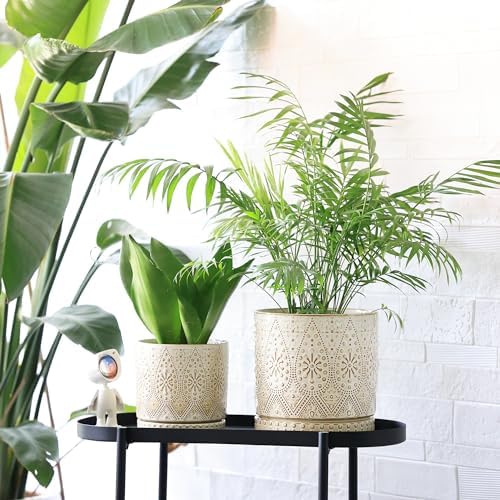 8 Inch + 6 Inch Indoor Plant Pot with Drainage Holes and Saucers, Ceramic Planter for Plants, Succulent Orchid Flower Pots - Image 5