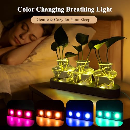 XXXFLOWER Plant Propagation Station with LED Light Wooden Base 3 Star Vases - Image 5