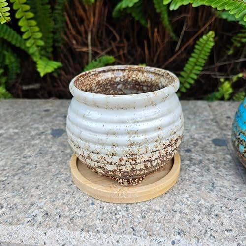 3.5 Inch Ceramic Succulent Planter Pot with Drainage Hole & Bamboo Tray - Mini Round Small Plant Pot for Indoor Desktop, Cactus Flower Container (Plant and Soil Not Included)，White - Image 2