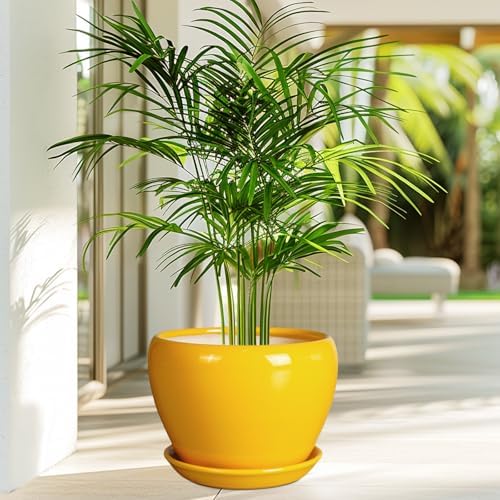 Ceramicfor 8 Inch Plant Pot - Glaze Modern Round Ceramic Planter for Indoor Outdoor Plants with Drainage Hole and Saucer for Home Patio Room Office Decor, Yellow - Image 4