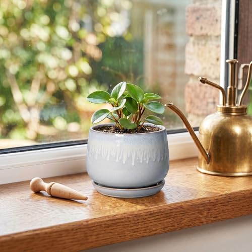 4 Inch Planter - Ceramic Plant Pots for Indoor Plants, Round Succulent Pots with Drainage and Saucer, Decorative Small Planter, Home Desktop Decor, Gardening Gifts for Women, Grey-White - Image 3