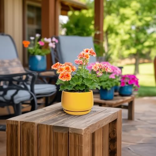 G EPGardening 4 Inch Ceramic Planter - Succulent Pots for Plants Indoor Outdoor, Small Plant Pots with Drainage Hole & Saucer, Round Planter, Modern Flower Pot, Home Decor, Plant Lover Gift, Yellow - Image 4