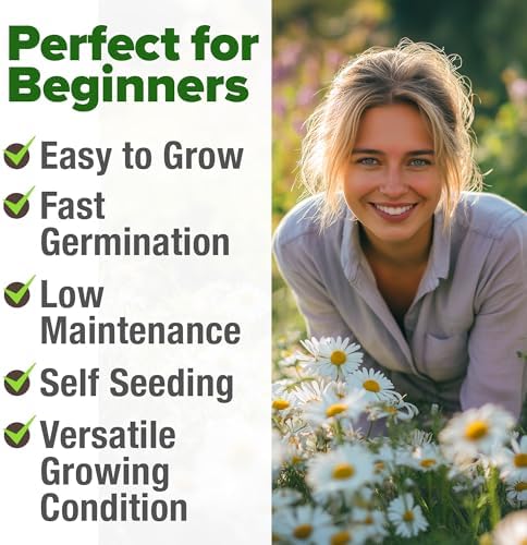 HOME GROWN German Chamomile Seeds, 2,280 Seeds, Matricaria chamomilla - Image 4