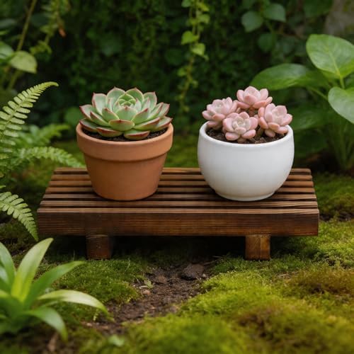 Klunk Wooden Risers, Wood Bathroom Tray & Kitchen Counter Riser, Set of 3 - Image 7