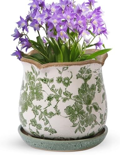 Ceramic-Planters-for-Indoor-Plants with Saucer, 6 inch Vintage Ice Crack Glaze Plant Pots with Drainage Holes, Decorative Flower Pots for Outdoor Garden Home Decor, Tuscan Pot for Plant by Xoogifae