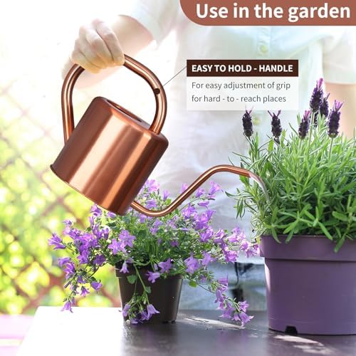 Watering Can, Stainless Steel Watering Can for Indoor & Outdoor Plants, 1L/35oz Long Spout Water Can with Handle, Rust-Proof Plant Watering Pot for House Plants, Garden Flowers - Image 5