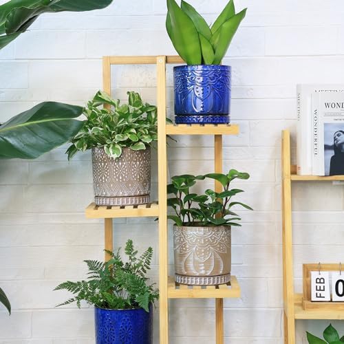 6 Inch Indoor Plant Pots with Drainage Holes and Saucers, Ceramic Planter for Plants, Flower Pot - Set of 2 - Image 5