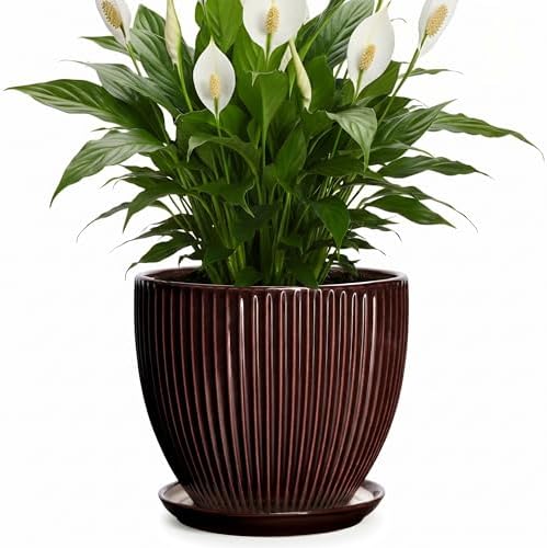 8 Inch Flower Pot, Ceramic Planters with Drainage Hole and Plant Saucer, Round Planters for Indoor Plants, Modern Plant Pot, Decorative Planter, Home Entryway Decor, Women Men Gifts, Brown by Unknown
