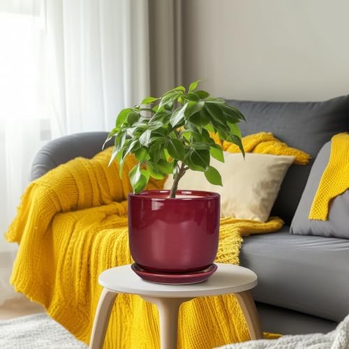 Ceramic Flower Pot for Plants - Cylinder Modern 8 Inch Plant Pot Indoor with Drainage Hole and Saucer, Home Office Room Porch Decor, Red - Image 6