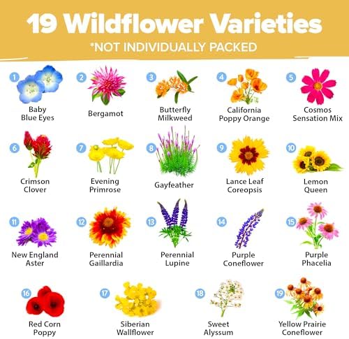 HOME GROWN 19 Wildflower Variety Mix 89,000+ Flower Seeds 3 oz - Image 2