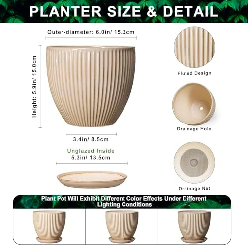 Ceramic Plant Pot, 6 Inch Succulent Pots with Drainage Hole and Saucer, Decorative Pot for Indoor Plants, Modern Indoor Flower Pots, Round Planter, Bedroom Decor, Plant Lover Gifts, Beige - Image 2