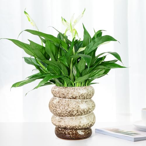 5 inch Ceramic Plant Pot - Flower Pot for Indoor Plants with Drainage Hole - Image 2