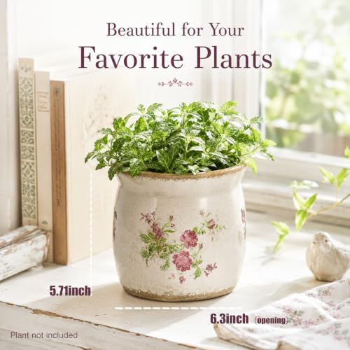 Doysayes Vintage Ceramic Flower Pot for Indoor Plant with Drainage Hole - Image 3