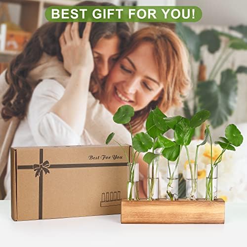 YIBOT Plant Propagation Station, Plant Terrarium with Wooden Stand - Image 6
