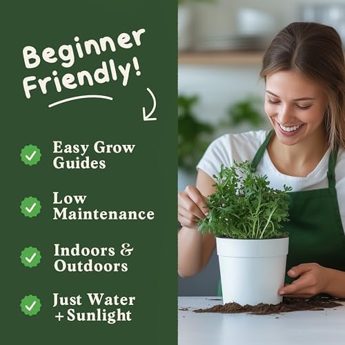 Seedboy Organic Non-GMO Herb Seeds for Planting (Slow Bolt Arugula) - Image 4