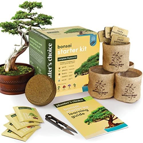 Bonsai Tree Kit for Beginners & Plant Lovers - Grow Your Own Bonsai by Planters%27+Choice