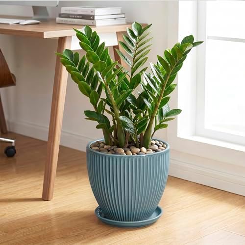 10 Inch Plant Pot, Ceramic Flower Pots with Drainage Hole and Saucer, Round Modern Planters for Indoor Plants, Decorative Plant Pots, Home Patio Decor, Plant Lover Gifts, Glaze Blue - Image 3