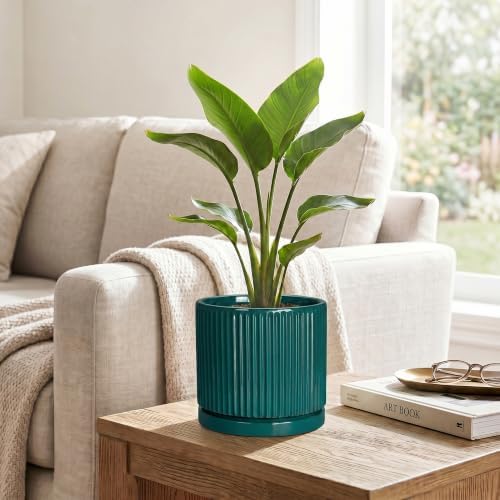 Ceramic Planter, 6 Inch Pots for Plants with Tray, Blackish Green - Image 5