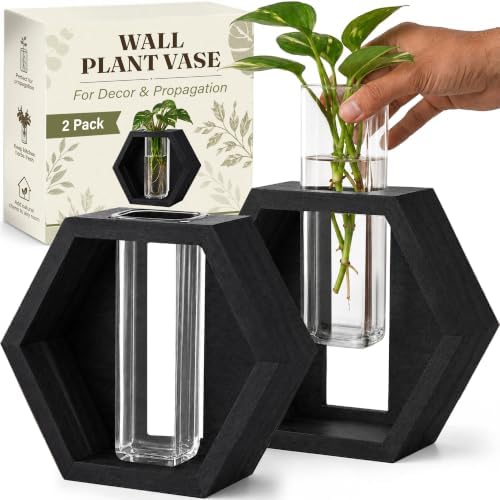 AVERGO Wall Plant Decor (2-Pack), Black Wood Indoor Wall Planter by Plantingseedsgrowingdreams