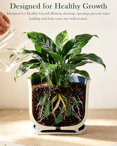 Ceramic Plant Pots, Set of 3, 4.3/5.6/6.9 Inch with Drainage - Image 5