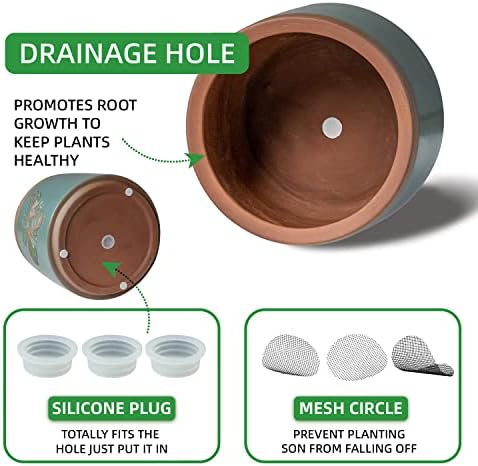 Terracotta Pots, 8+6+4 Inch Plant Pots, 3 Pcs with Drainage Holes - Image 3