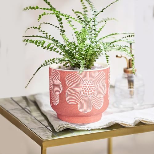 Ceramic Plant Pots, 8+6 Inch, 2 Pcs Indoor Planters with Drainage Holes - Image 3
