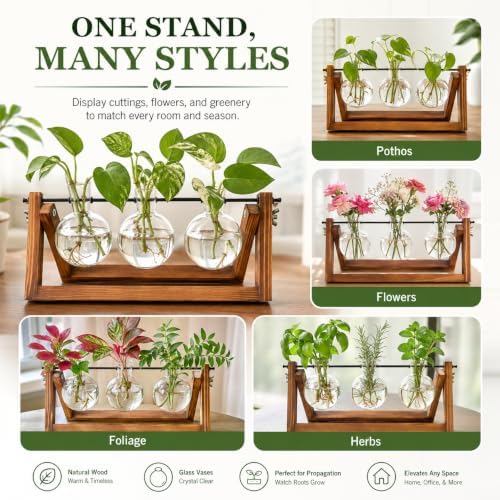 Renmxj Plant Propagation Station, Plant Terrarium with Wooden Stand - Image 5