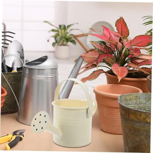 Sosoport Cute Watering Can for Indoor Plants Mini Indoor Flower Pot with Handle Small Watering Can Set Perfect for Home Decor - Image 7