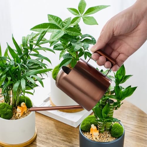 Mini Watering Can Stainless Steel Long Spout 10oz/300ml Small Watering Can for Indoor Desk Plants Outdoor Flowers Succulents Garden Watering Pot Gardening Tool（Copper） by Luxmars