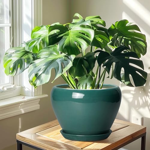 Ceramicfor Ceramic Planter for Indoor Plants 10 Inch, Green - Image 6