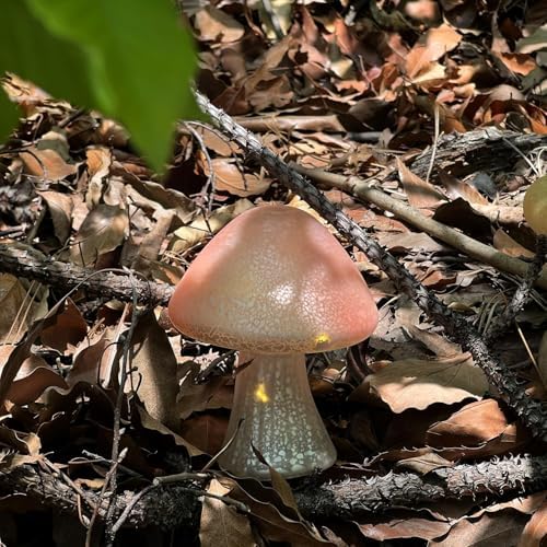 Glass Mushroom Lamp - Pink Mushroom Night Light with Warm Light Battery Operated Portable Cute Mushroom Decor for Bedroom Party Mushroom Gifts for Women, Small Table Lamp - Image 2
