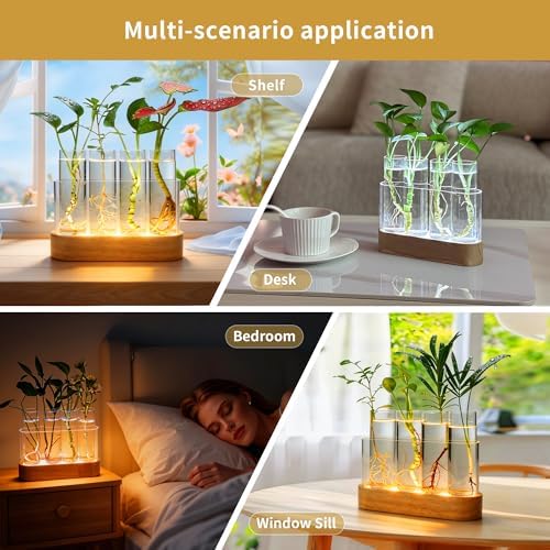 Plant Propagation Station with LED Grow Light, Wooden Stand & 4 Glass Tubes - Image 6