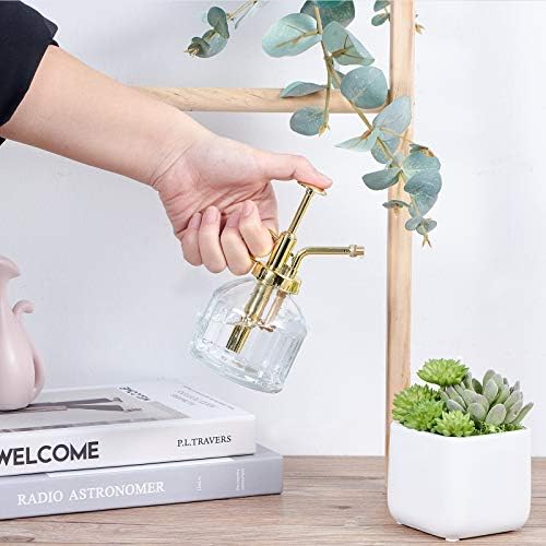 Glass Plant Mister Spray Bottle, Succulent Watering Bottle with Golden Top Pump, Vintage Plant Spritzer, Decorative Water Sprayer Small Watering Can for Indoor Outdoor Houseplant - Clear - Image 6