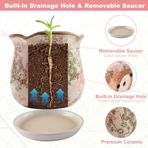 Ceramic-Planters-for-Indoor-Plants with Saucer, 6 inch Vintage Ice Crackle Glaze Plant Pots with Drainage Holes, Decorative Flower Pots for Outdoor Garden Home Decor, Tuscan Pot for Plant - Image 5