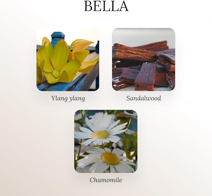 A U R A - Bella (Santal) Fragrance Oil for Waterless Scent Diffuser - Inspired by L. Labo Santal | 6.7 fl oz / 200 ml Essential Oil Blend for Aromatherapy & Hotel Collection Diffuser
