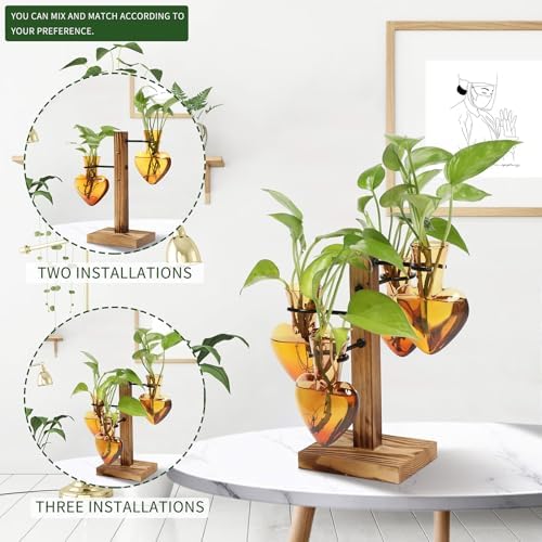 Plant Terrarium Propagation Stations with Wooden Stand - Image 5