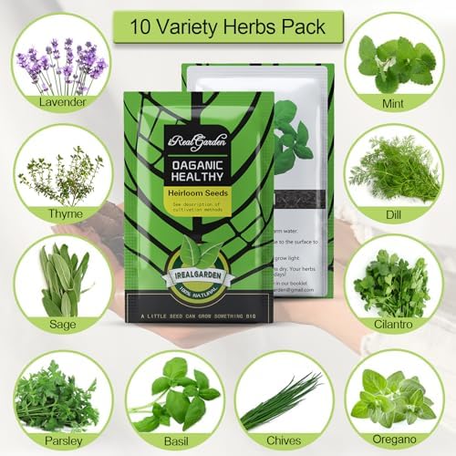 Indoor Herb Garden Kit – 10 Non-GMO Herb Seeds with Soil, Pots & Moisture Meter – Easy Windowsill Gardening Starter Set – Unique Gift for Gardeners, Home Chefs & Families - Image 2