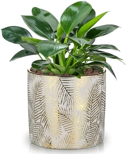 Oairse Small Ceramic Pot for Indoor Plants, 5.3 inch Plant Pot with Drainage Hole Decorative Texture Gold Planter Indoor Outdoor Flower Pots for Succulent Snake Plant Pothos Orchid by Oairse