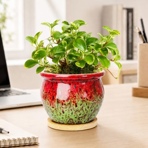 4.5 Inch Plant Pots with Drainage, Small Ceramic Pots for Indoor Plants - Image 4