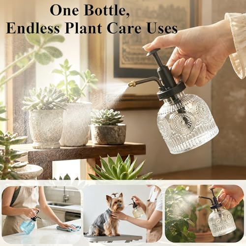 Glass Plant Mister Spray Bottle Vintage Refill Leak Proof Watering Can 8oz - Image 4