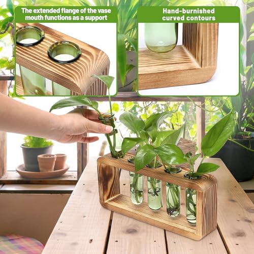 Glass Plant Propagation Station with 5 Test Tubes Colorful Planter Vase - Image 4