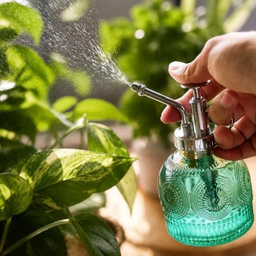 2 Pieces Glass Plant Mister Spray Bottle for Indoor Plant Spritzer Succulent Watering Bottle - Gradual Green - Image 4