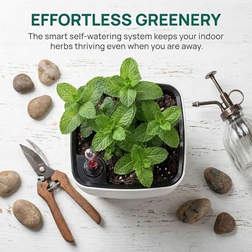 yarlung 6 Pack Self Watering Planter with Water Level Indicator, 5 Inch Plastic Plant Flower Pots Nested Container for Indoor Plants, Herbs, Aloe, Outdoor Gardening - Image 6