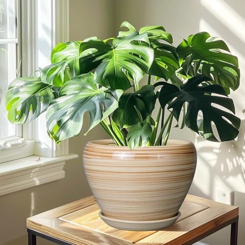 Ceramicfor Ceramic Pot for Plant 10 Inch - Planter for Outdoor Plants Indoor Plant Pot with Drainage Hole Large Planter Round Flower Pot for House Patio Garden Yellow - Image 7