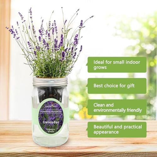 Hydroponic Herb Growing Kit, Self-Watering Mason Jar Herb Garden Starter Kit Indoor, Windowsill Herbs Garden, Grow Your Own Herbs from Organic Seeds (Lavender) - Image 5